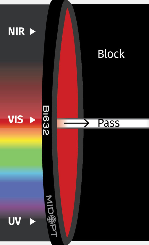 Bi615-25.5