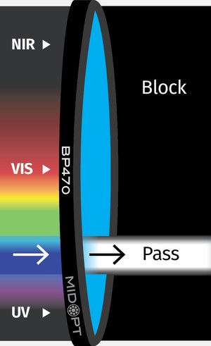 BP470-37