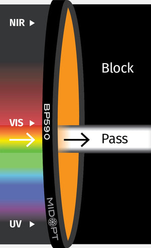 BP590-72
