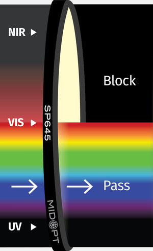 SP645-82